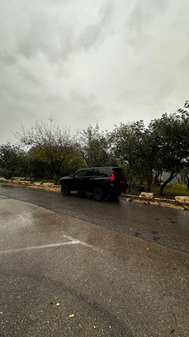 טויוטה לנד קרוזר