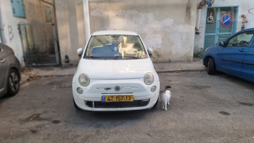 פיאט 500