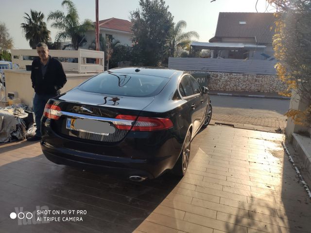 יגואר XF