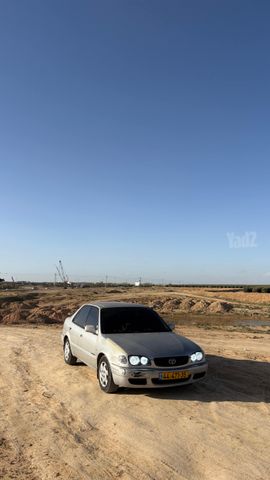 טויוטה קורולה