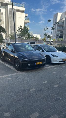 טסלה מודל Y