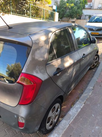 קיה פיקנטו