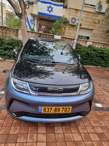 בי.ווי.די דולפין