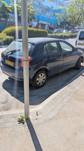 טויוטה קורולה