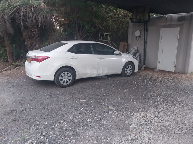 טויוטה קורולה