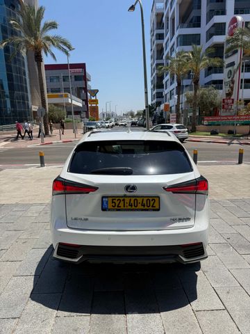 לקסוס NX