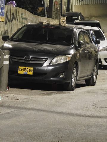 טויוטה קורולה