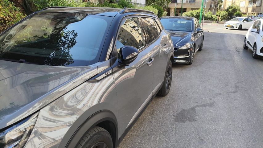 פיג'ו 2008