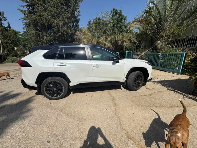 טויוטה RAV4