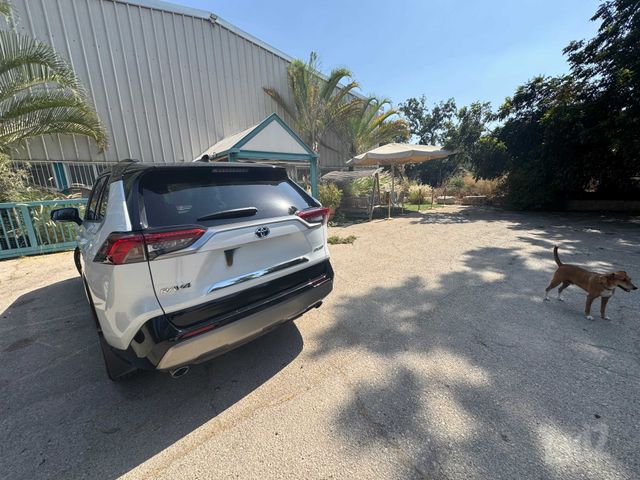 טויוטה RAV4