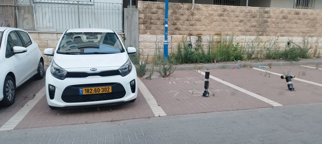 קיה פיקנטו