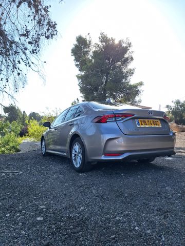 טויוטה קורולה