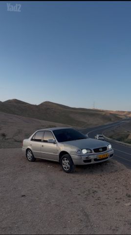 טויוטה קורולה