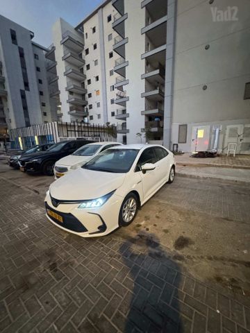 טויוטה קורולה