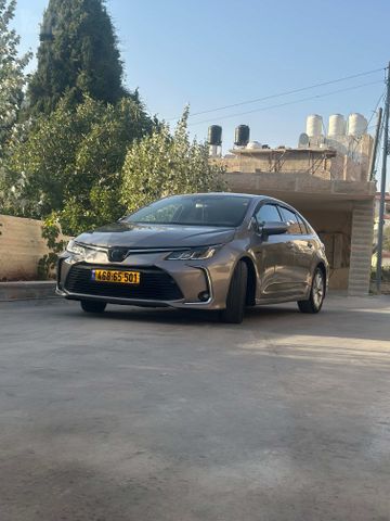 טויוטה קורולה
