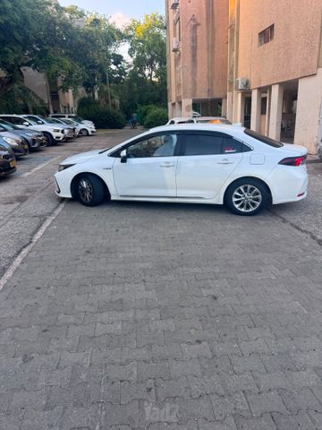 טויוטה קורולה