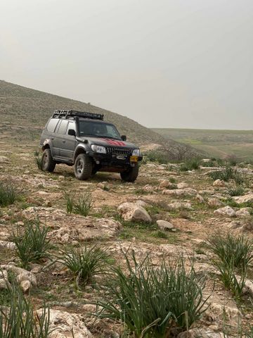 טויוטה לנד קרוזר