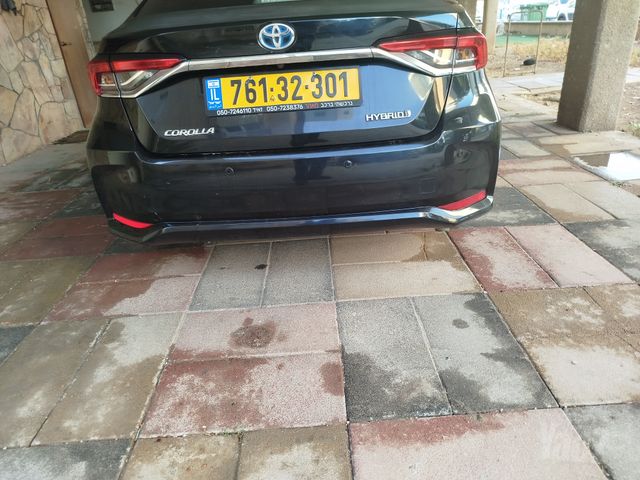 טויוטה קורולה