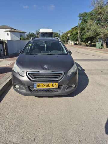פיג'ו 2008