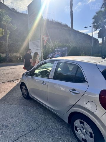 קיה פיקנטו