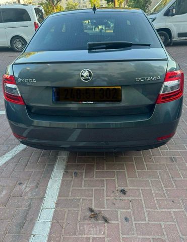 סקודה אוקטביה