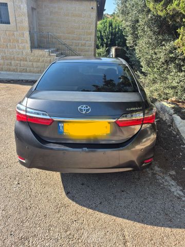 טויוטה קורולה