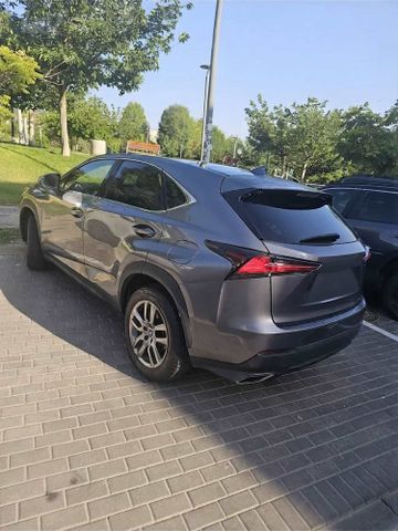 לקסוס NX