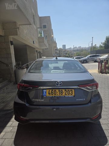 טויוטה קורולה