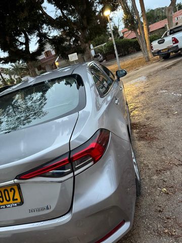 טויוטה קורולה