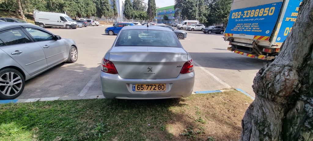פיג'ו 301