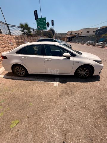 טויוטה קורולה