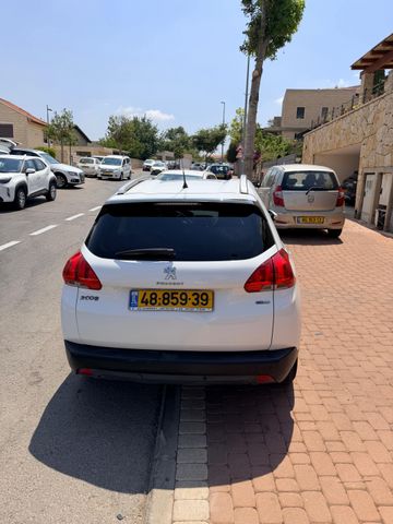 פיג'ו 2008