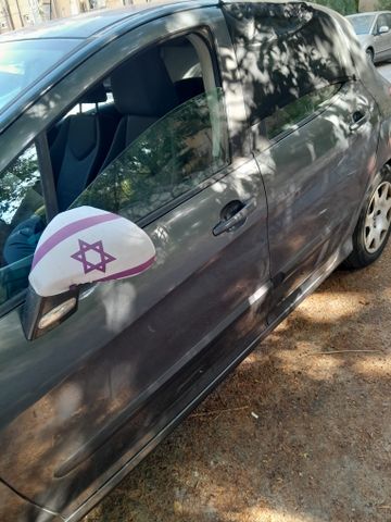 פיג'ו 308