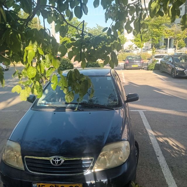 מודעת רכב טויוטה קורולה