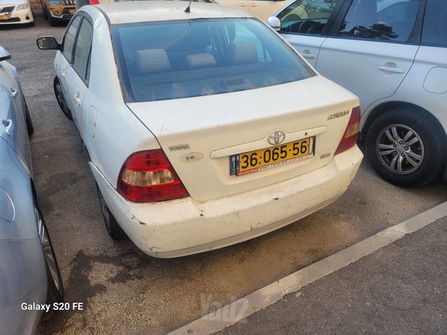 טויוטה קורולה