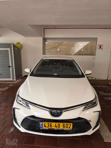 טויוטה קורולה