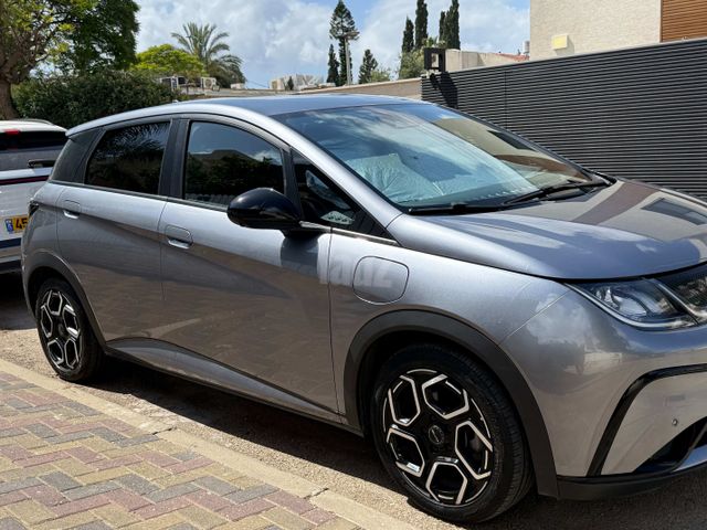 בי.ווי.די דולפין