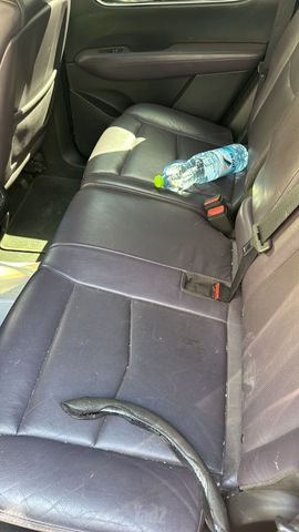 קאדילק XT5