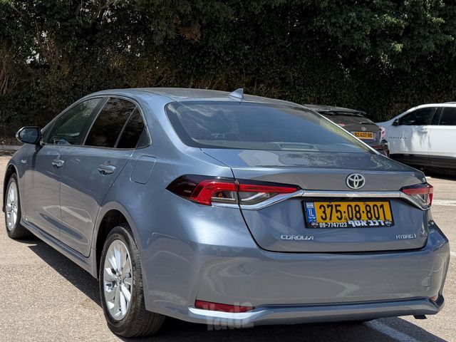 טויוטה קורולה