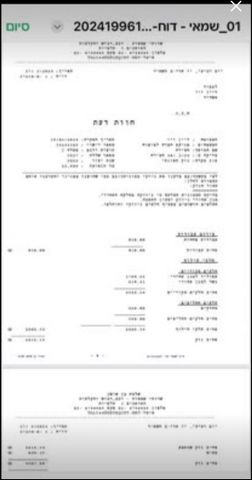טסלה מודל Y
