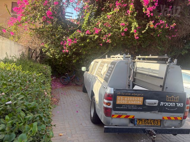 מאזדה BT-50