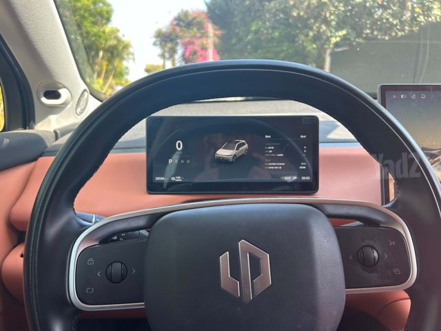 ליפמוטור C10