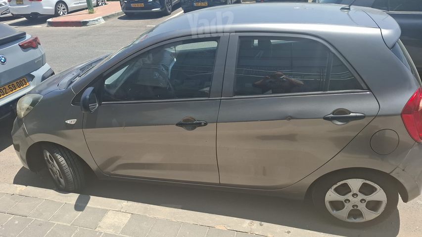 קיה פיקנטו