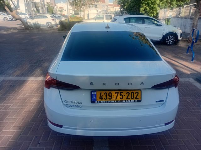 סקודה אוקטביה