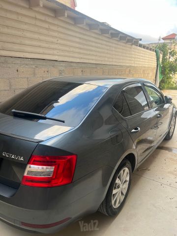 סקודה אוקטביה 