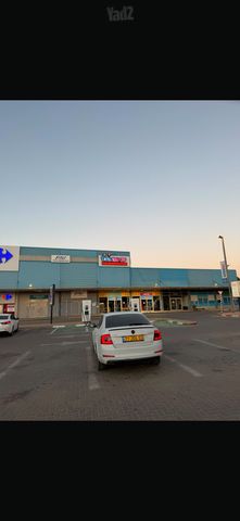 סקודה אוקטביה