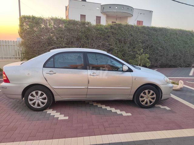 טויוטה קורולה
