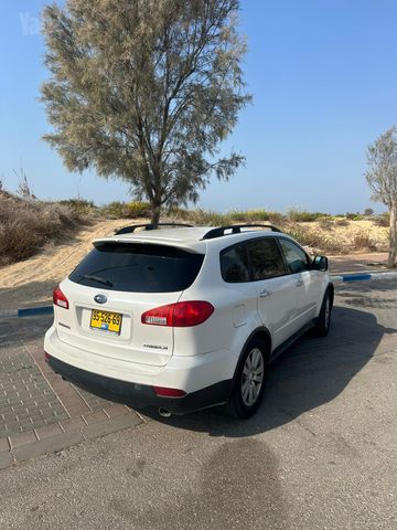 סובארו טריבקה