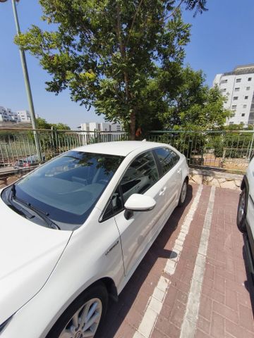 טויוטה קורולה