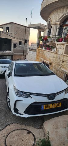 טויוטה קורולה